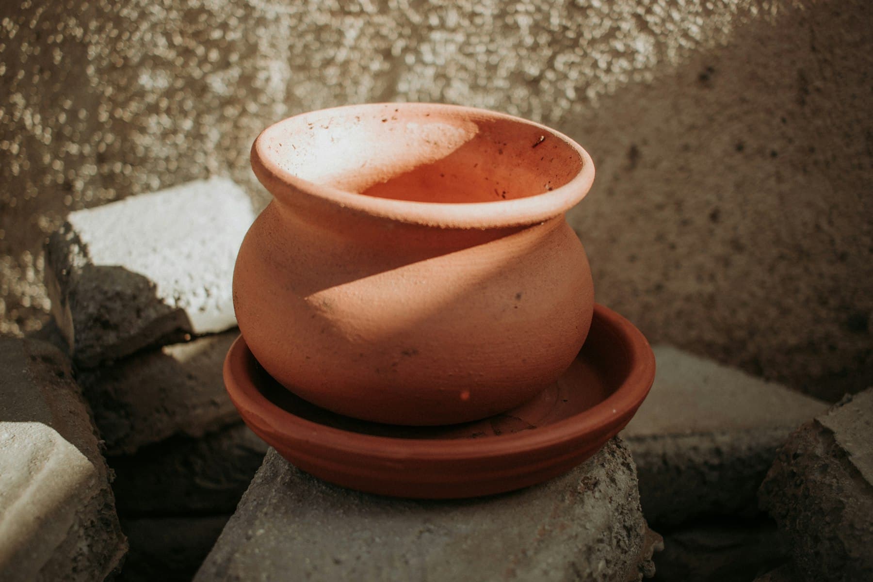 A terracotta pot on its saucer